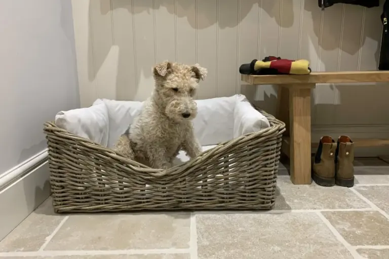 Rattan / Wicker dog Basket shown in a cloakroom