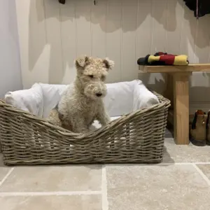 Natural Rattan Dog Bed with happy dog